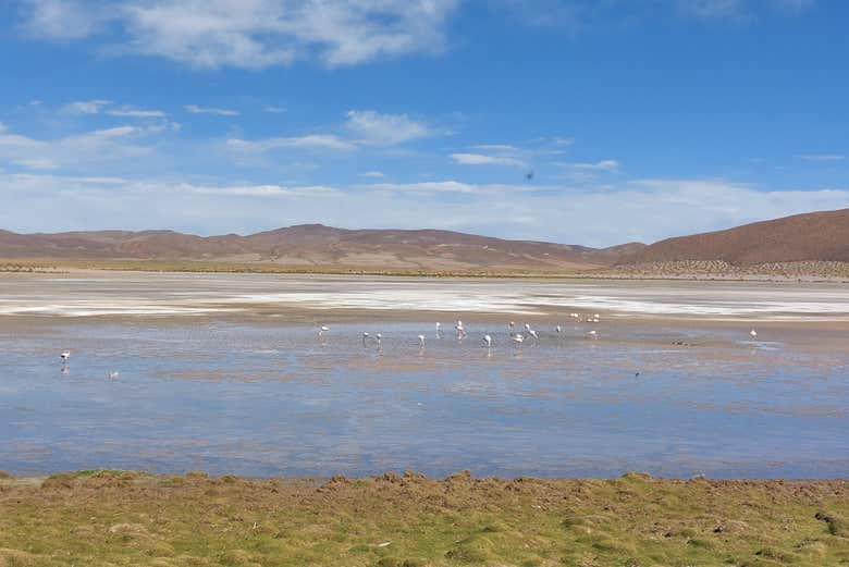 Vista della Laguna Negra