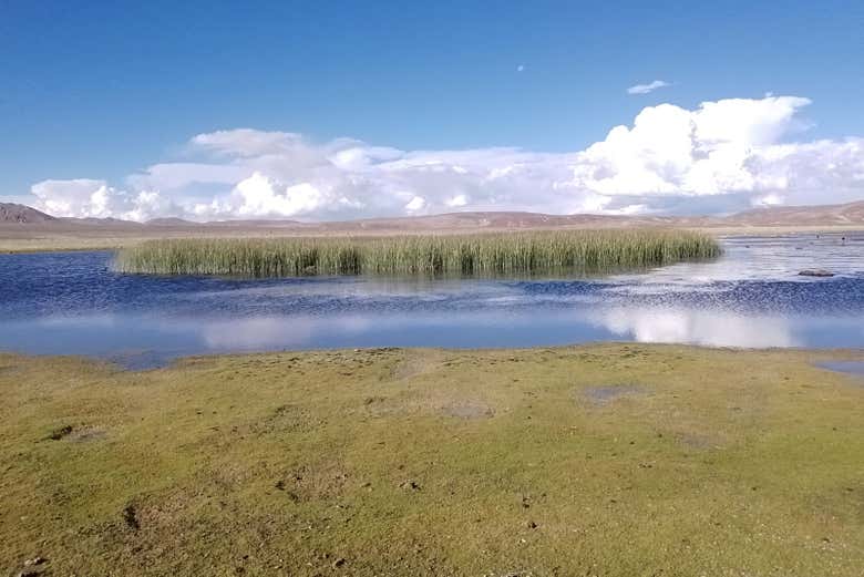 Admire the stunning landscapes of Uyuni