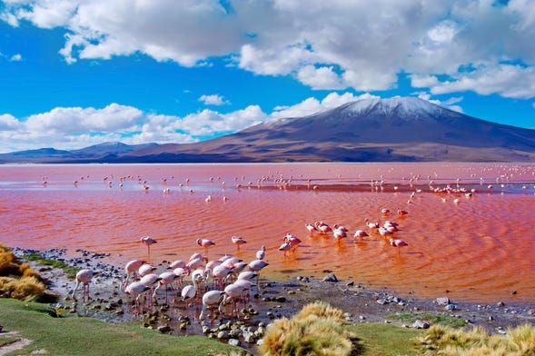 Tour de 4 días por Uyuni finalizando en La Paz