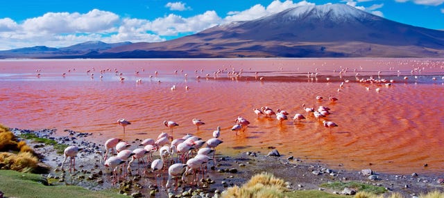 Tour de 4 días por Uyuni finalizando en La Paz