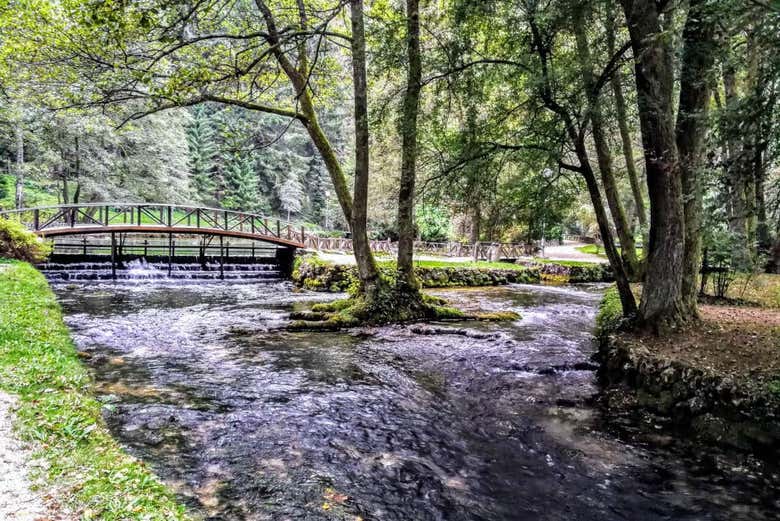 Parque Natural Vrelo Bosne