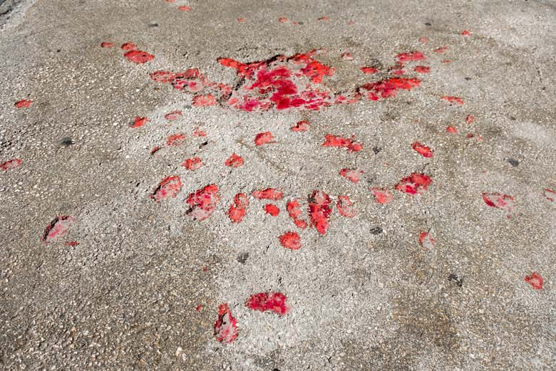 Rosas de Sarajevo