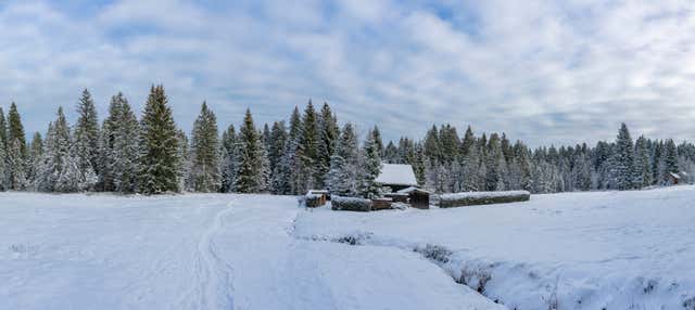 Olympic Mountains and Vrelo Bosne Trip