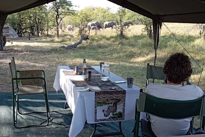 El lugar ideal en el que montaremos el campamento móvil