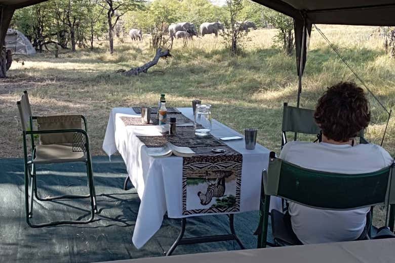 Descansando na tenda 