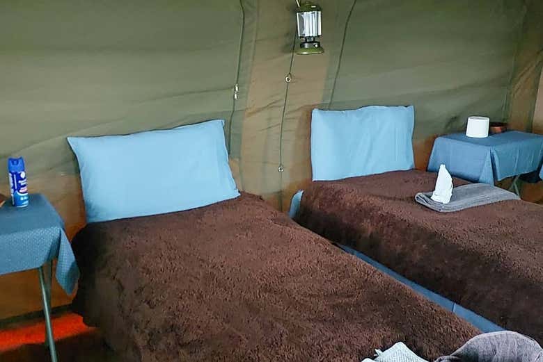 El interior de una tienda de campaña