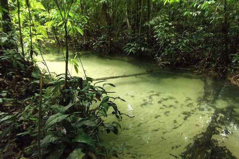 Natureza do Tapajós