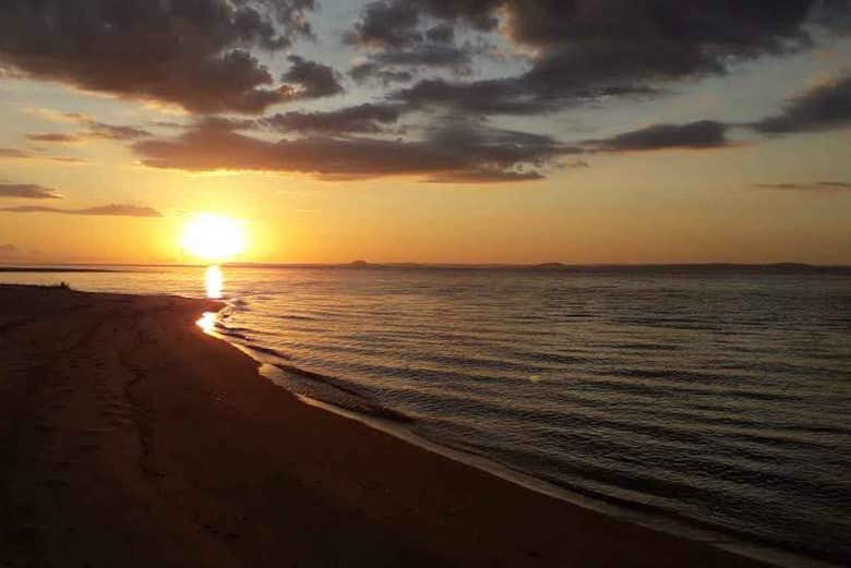 Sunset in the Amazon