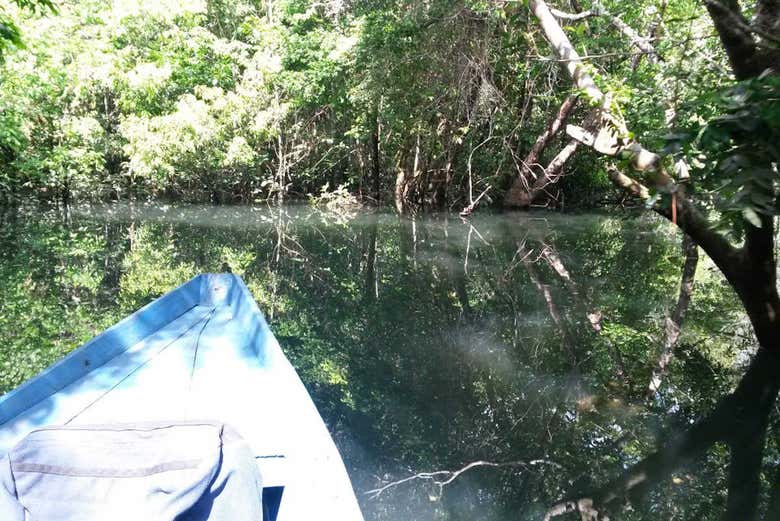 Exploring Amorim by boat