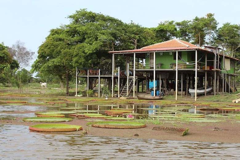 Paisagem do canal do Jari