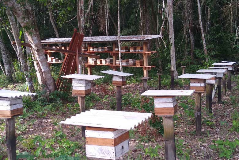 Making the most of natural resources