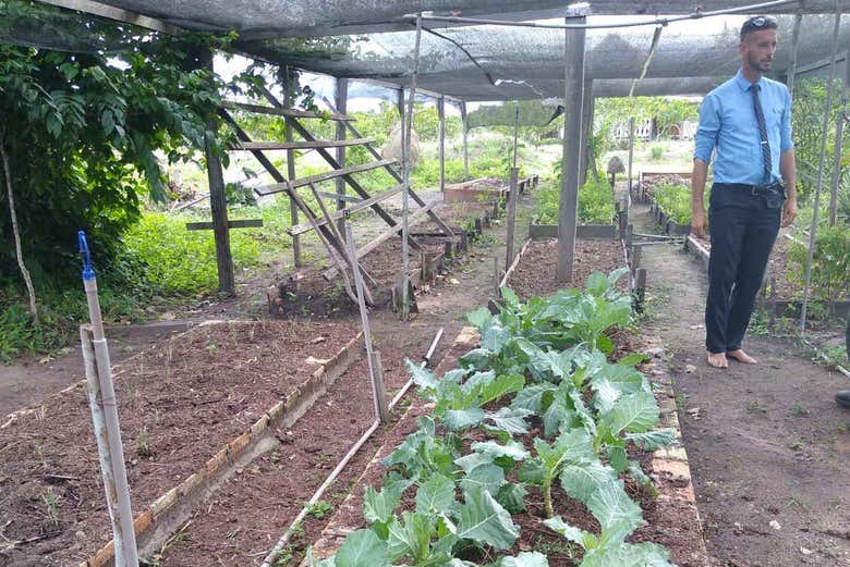 At one of the farms