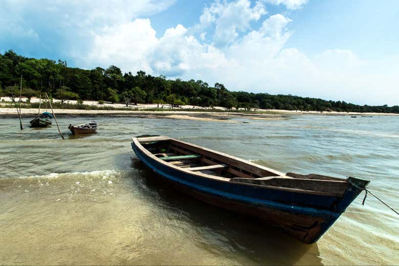 Admire the Tapajós River