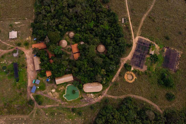 The Brazilian Amazon
