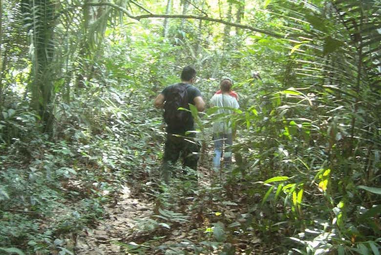 Na selva da Amazônia