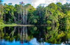 Tour de 5 días por el río Arapiuns