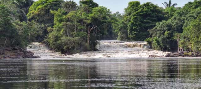 Arapiuns River Communities Tour