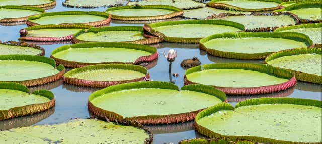 Tour por el lago do Maicá