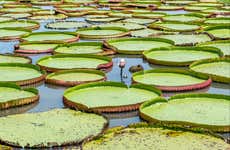 Tour pelo lago do Maicá