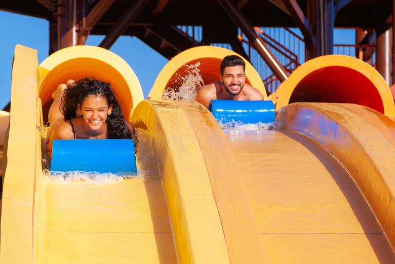 Go on an aquatic adventure