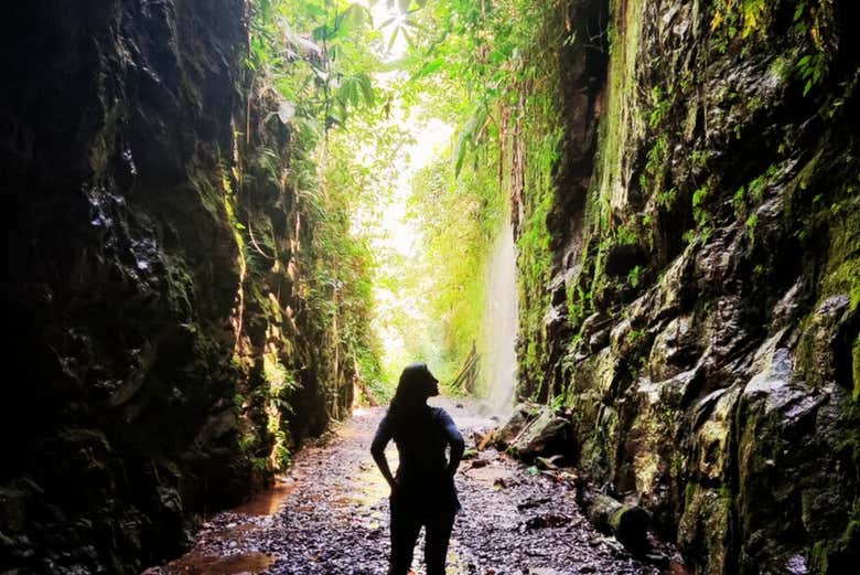Ruta por la Vía Verde de la Mata Atlántica