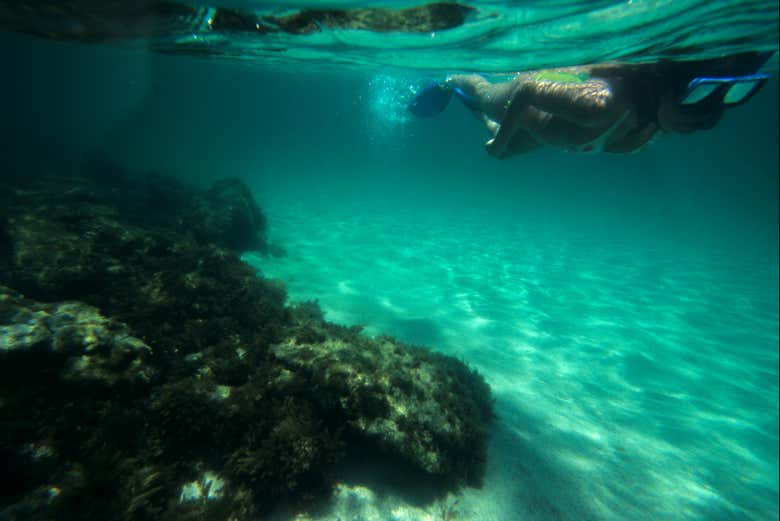 Practicando snorkel en las Ilhas Botinas