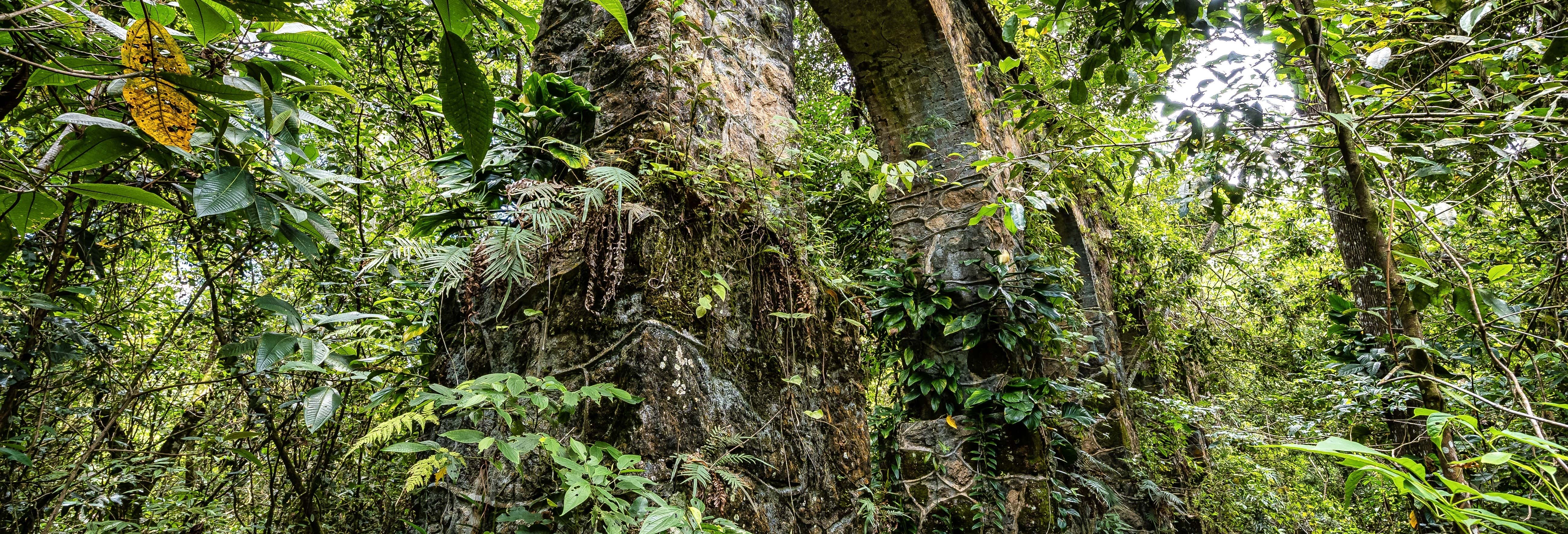 Trilha / Trekking em Angra dos Reis