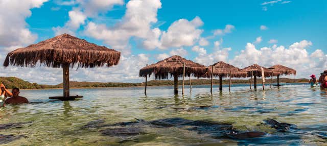Excursion à la lagune des Tambaquis