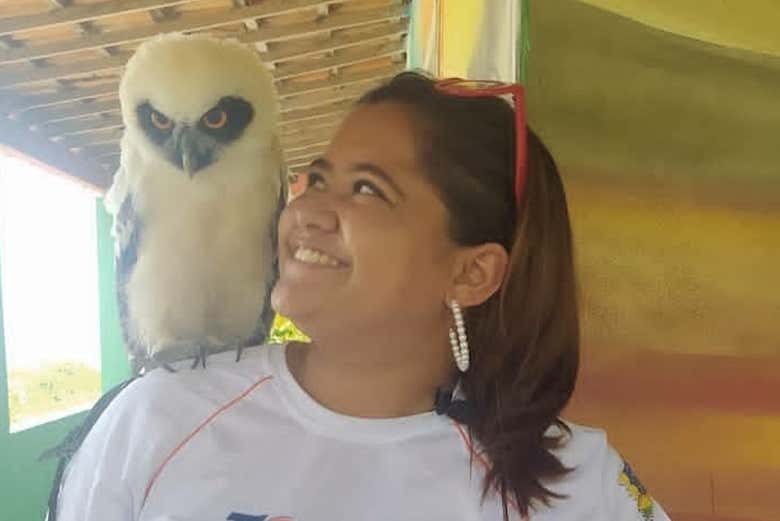 Meeting the park's birds of prey