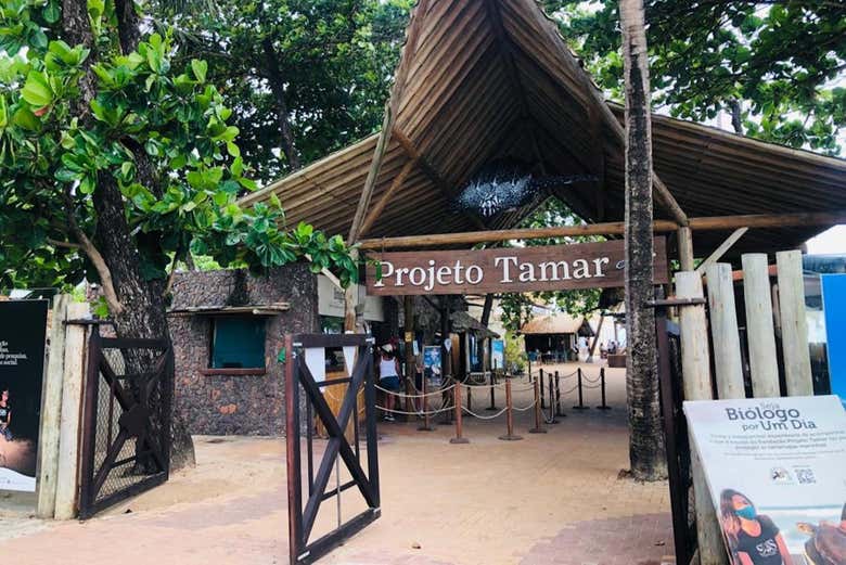 Projeto Tamar