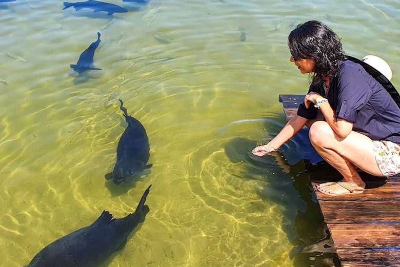 Admiring the fish