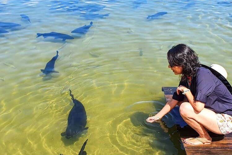 Admiring the tambaqui fish