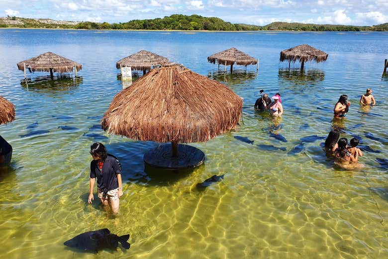 Alimentando os peixes na Lagoa dos Tambaquis