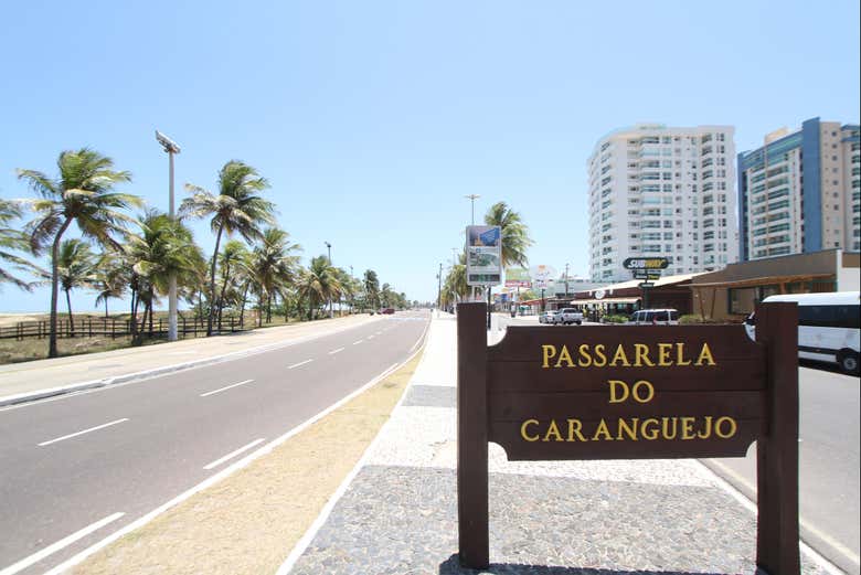 Aracaju's 'Crab Catwalk'