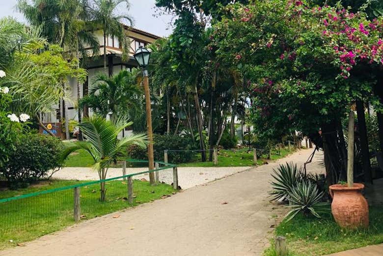 Praia do Forte em Mata de São João