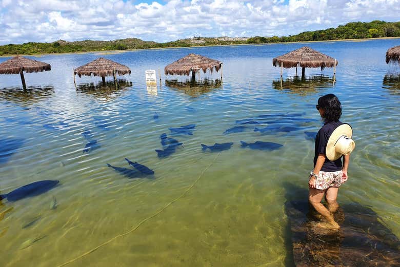 Lagoa dos Tambaquis