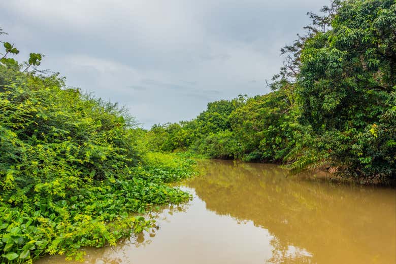 Sailing along the Parnaíba Delta