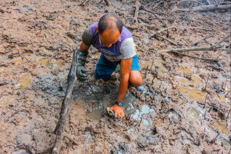 Técnicas de pesca no delta