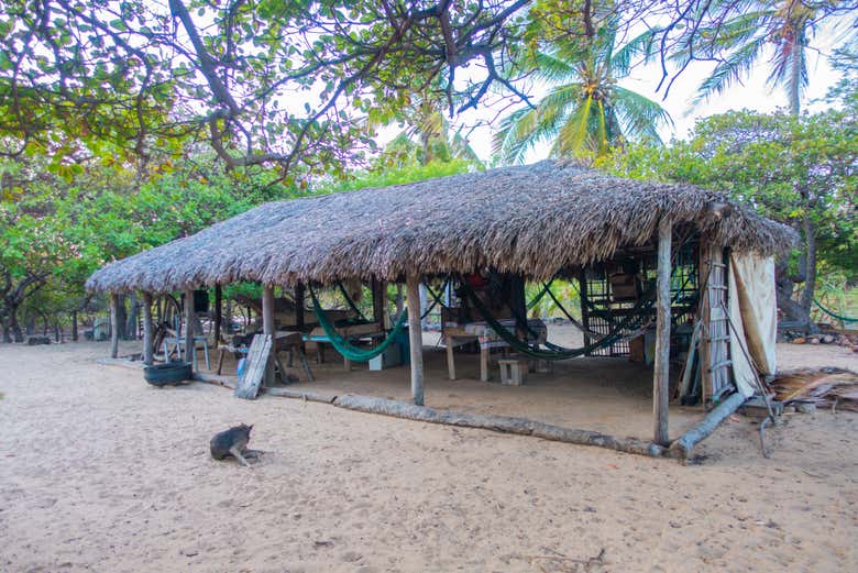 Construção da fazenda