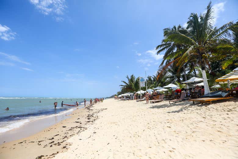 Você poderá caminhar pela areia branca da Praia do Mucugê