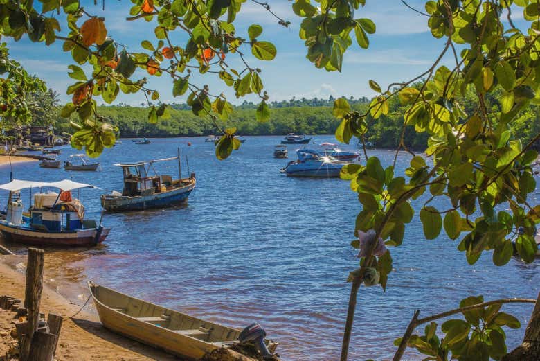 Viajaremos de canoa pelo rio Caraíva