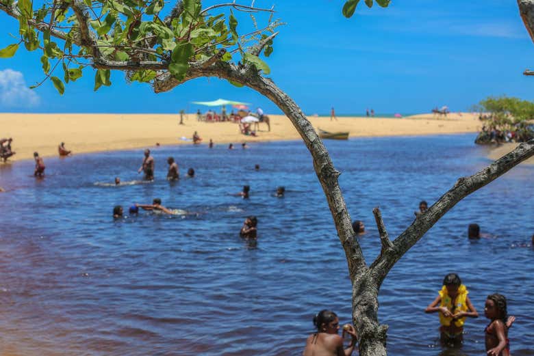 Disfrutando de la experiencia