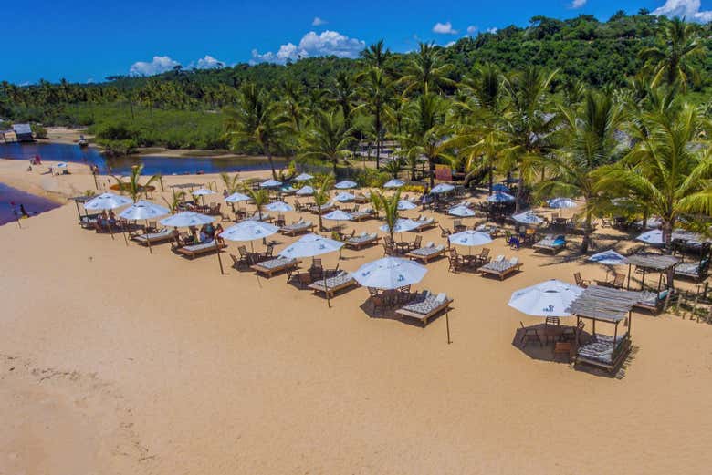 El Beach Club en el que pasaréis el día