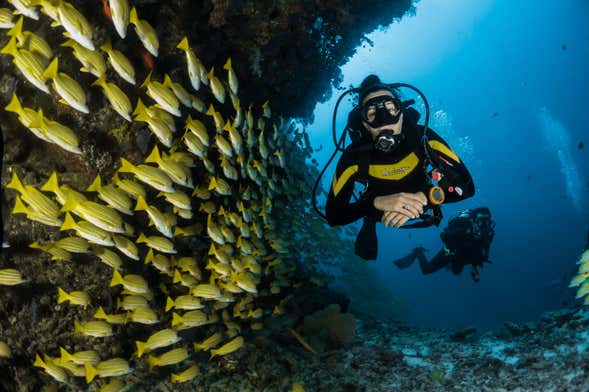 Batismo de mergulho em Arraial do Cabo