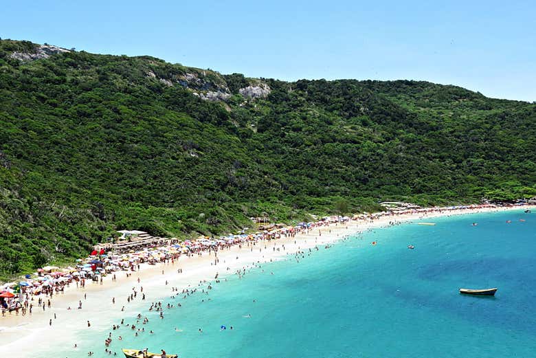 Admire the coastline