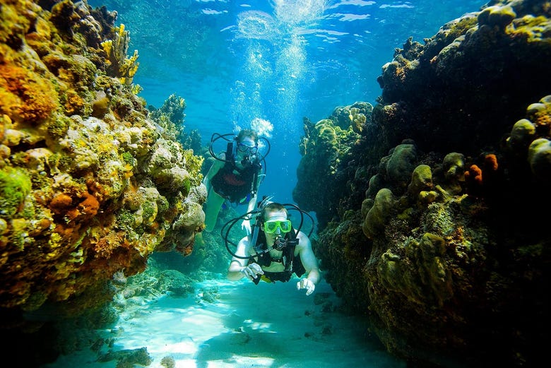 Nadando entre os recifes de corais durante o batismo de mergulho