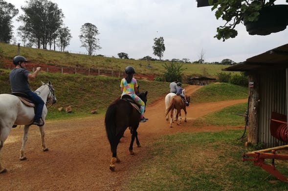 Passeio a cavalo por trilha em Atibaia - Reserve em  Brasil
