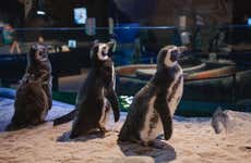 Ingresso do Oceanic Aquarium