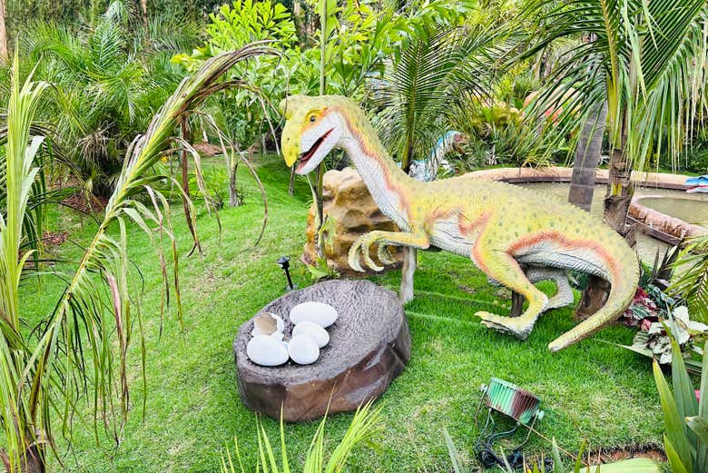 Learn all about how dinosaurs lived
