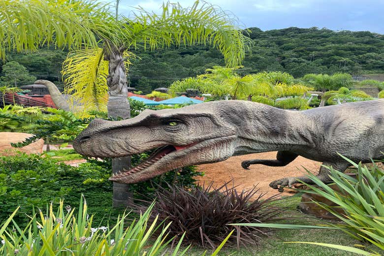 T-REX